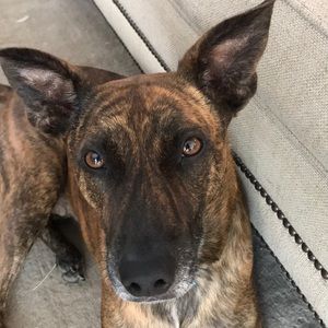 Meet your Posher, Jackson